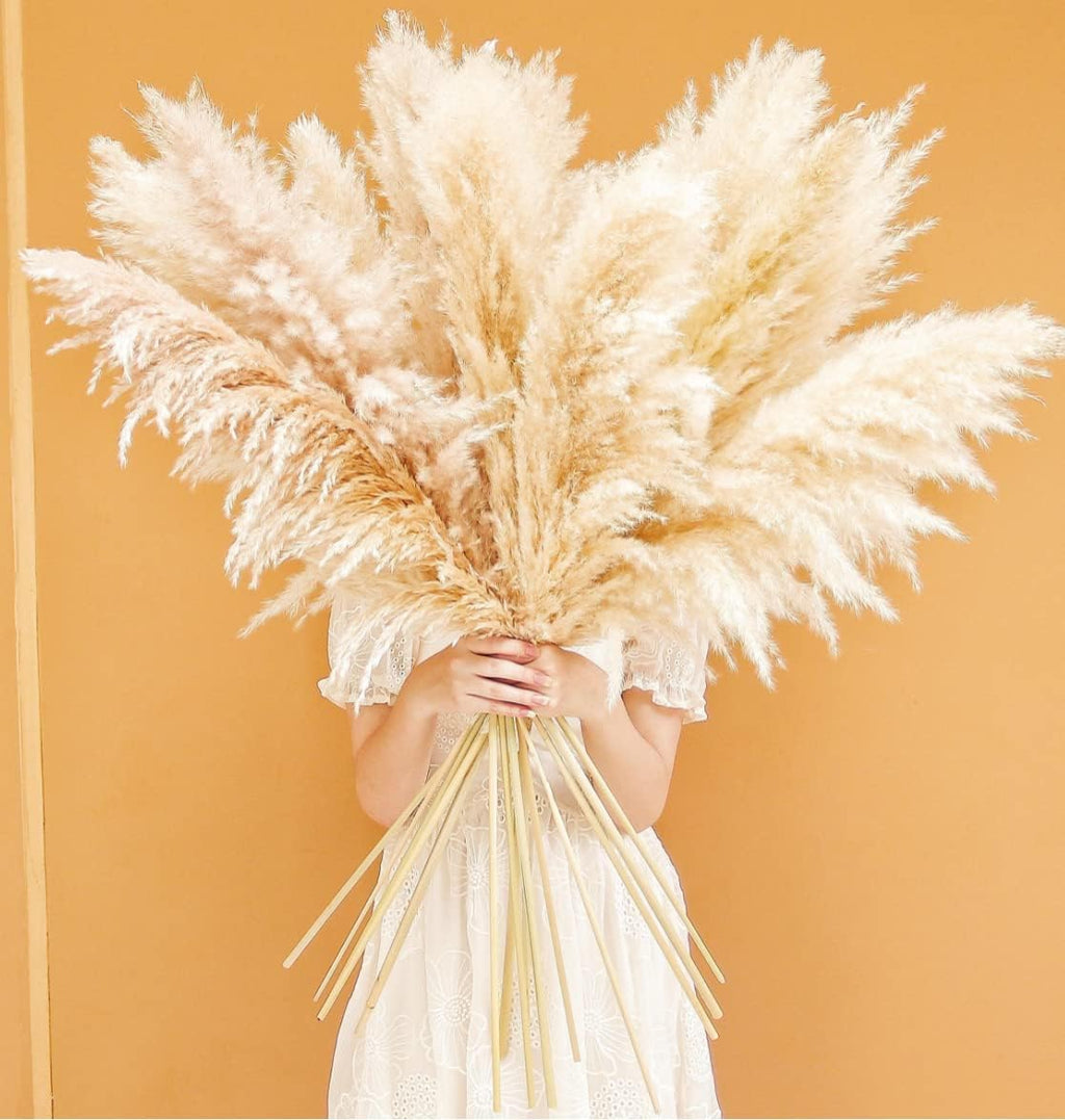 40" inch 20 Stems Natural Pampas Grass Decor Tall, Pompas Grass, Tall Pampas Grass for Wedding, Party, Farmhouse, Boho Home Decor