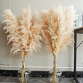40" inch 20 Stems Natural Pampas Grass Decor Tall, Pompas Grass, Tall Pampas Grass for Wedding, Party, Farmhouse, Boho Home Decor