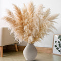 300 PCS Dried Flower Bouquet – Pampas Grass, Floral Decor for Home, Wedding, and Boho Style | Perfect for Vases, Fall, Spring, Summer, and Winter Arrangements