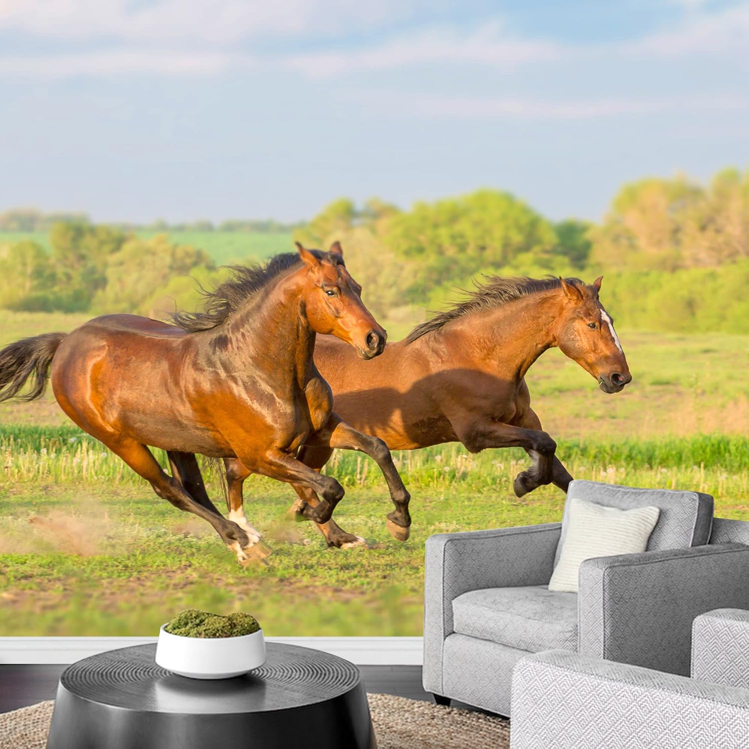 wall26 Removable Wall Sticker/Wall Mural African Field Safari Wild Zebras Animals Nature Photography Realism Decorative Landscape Relax/Calm Rustic Scenery for Living Room, Bedroom, Office - 66"x96"