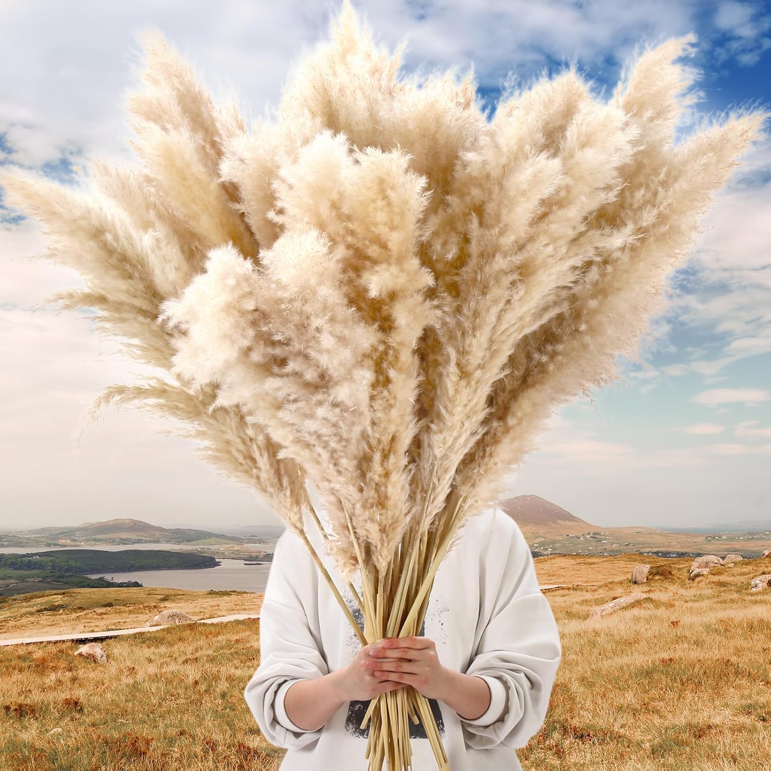 Tigeen 50 Pcs 40 Inch Tall Pampas Grass Stems Beige Fluffy Natural Dried Pampas Grass Floral Decor, Bouquet for Floor Vase, Wedding Floral Arrangements, Party, Farmhouse, Boho Home Decor