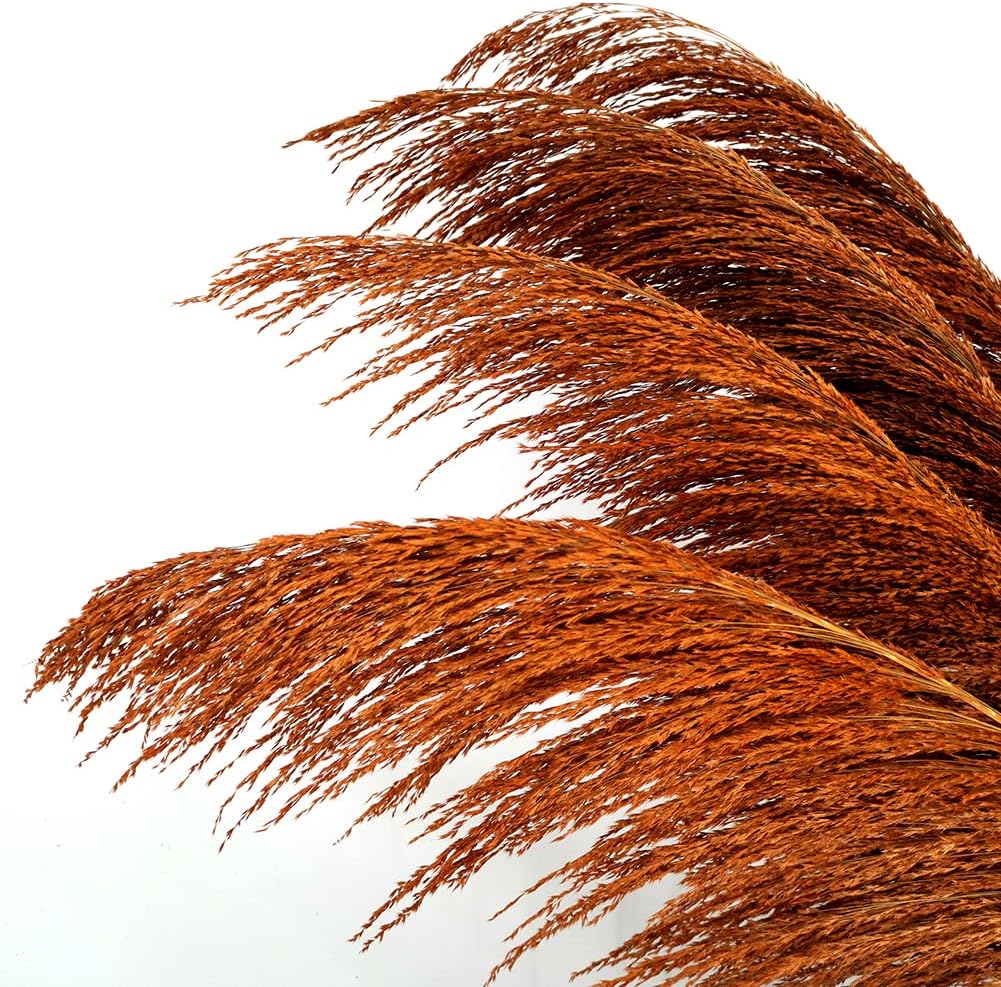 Premium Faux Burnt Orange Pampas Grass – 43.3″ Tall Fluffy Decor, No Assembly 18-Branch One-Piece Stems, Luxury Silk-Feel Feather Flowers for Boho Wedding Home Decor (Faux Burnt Orange, 8pcs 110cm)