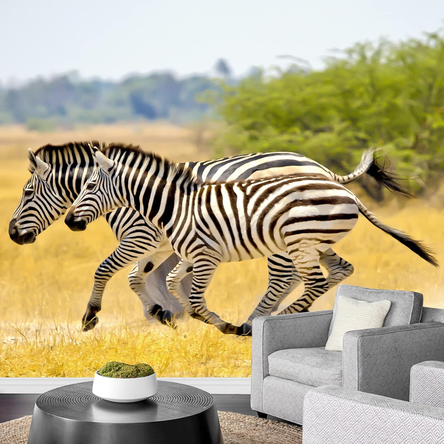 wall26 Removable Wall Sticker/Wall Mural African Field Safari Wild Zebras Animals Nature Photography Realism Decorative Landscape Relax/Calm Rustic Scenery for Living Room, Bedroom, Office - 66"x96"
