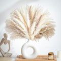440PCS Natural Dried Pampas Grass Boho Home Decor Bouquet Phragmites Dried Flowers Bouquet for Wedding Floral Arrangements Home Decorations (440PCS)
