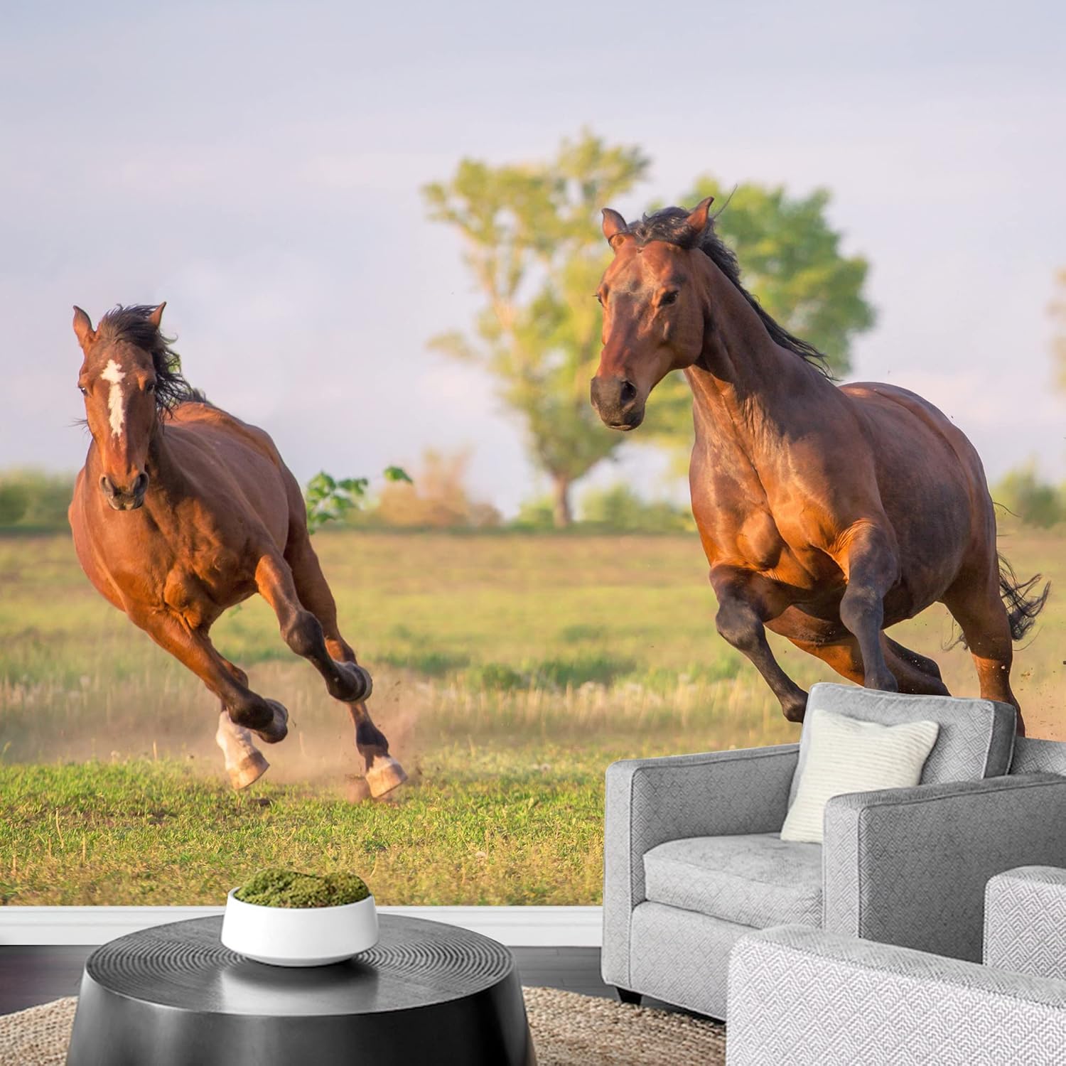 wall26 Removable Wall Sticker/Wall Mural African Field Safari Wild Zebras Animals Nature Photography Realism Decorative Landscape Relax/Calm Rustic Scenery for Living Room, Bedroom, Office - 66"x96"