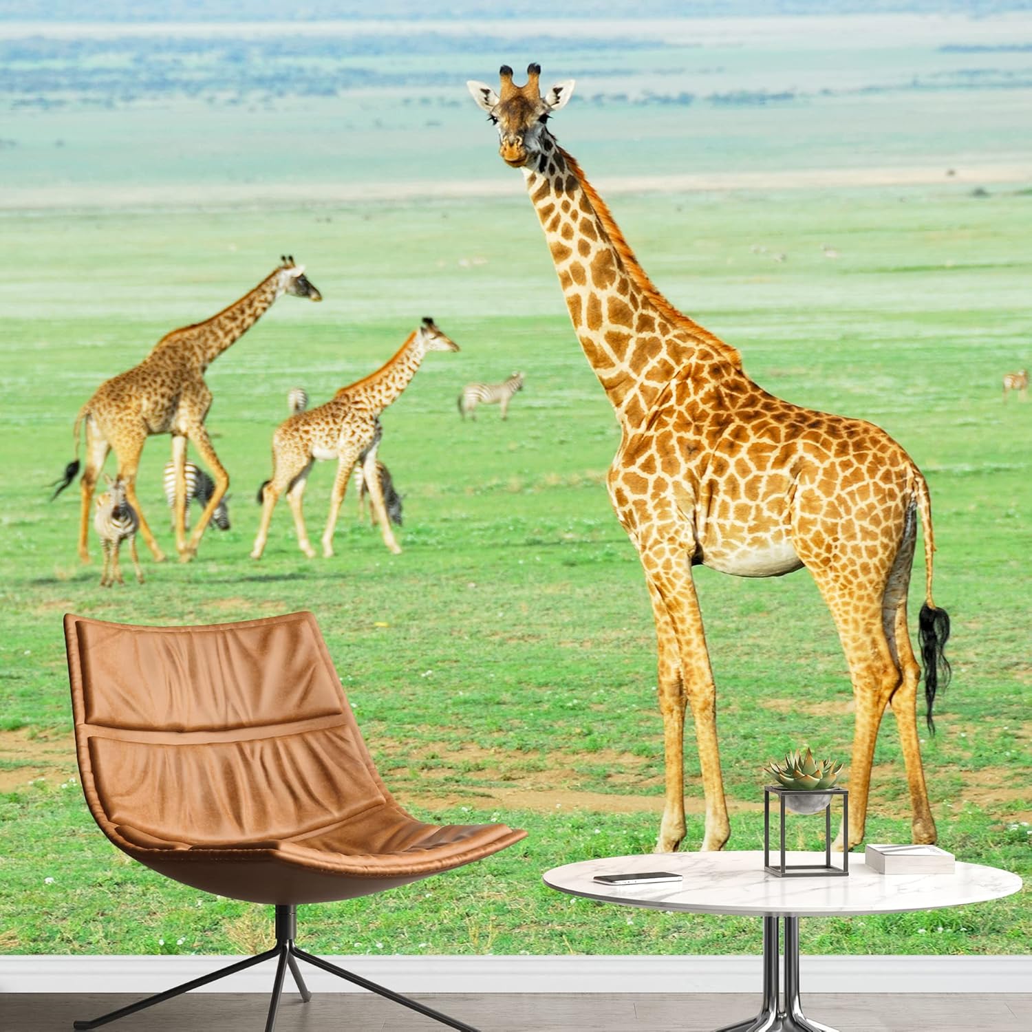 wall26 Removable Wall Sticker/Wall Mural African Field Safari Wild Zebras Animals Nature Photography Realism Decorative Landscape Relax/Calm Rustic Scenery for Living Room, Bedroom, Office - 66"x96"