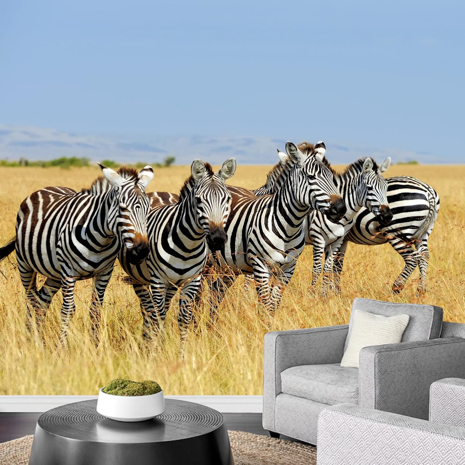 wall26 Removable Wall Sticker/Wall Mural African Field Safari Wild Zebras Animals Nature Photography Realism Decorative Landscape Relax/Calm Rustic Scenery for Living Room, Bedroom, Office - 66"x96"