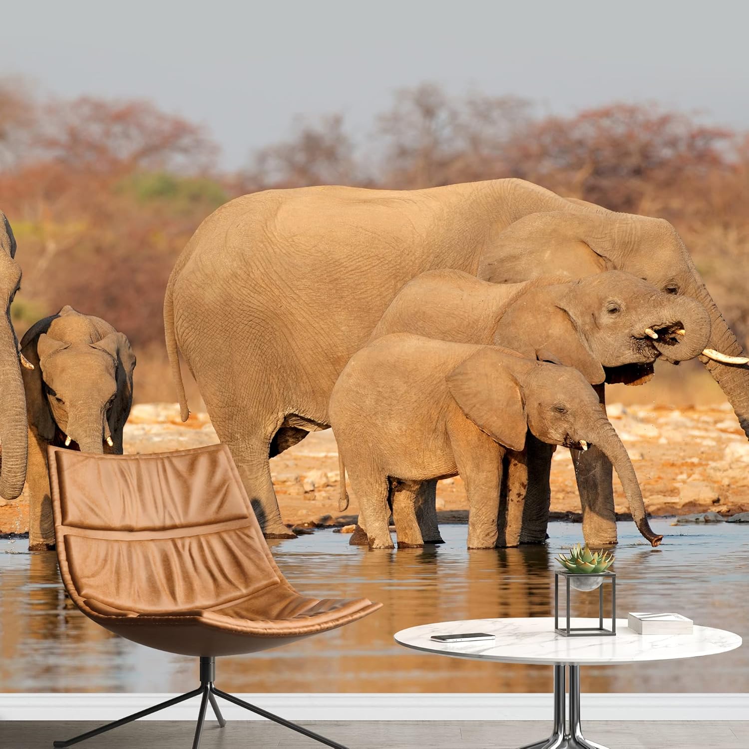 wall26 Removable Wall Sticker/Wall Mural African Field Safari Wild Zebras Animals Nature Photography Realism Decorative Landscape Relax/Calm Rustic Scenery for Living Room, Bedroom, Office - 66"x96"